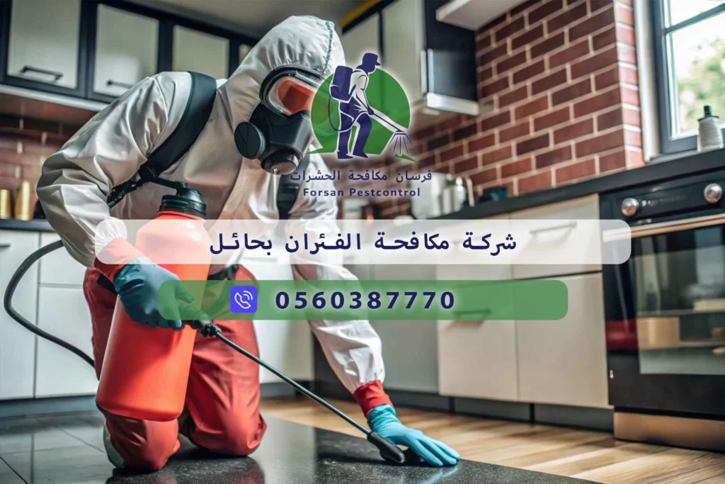شركة مكافحة الفئران بحائل