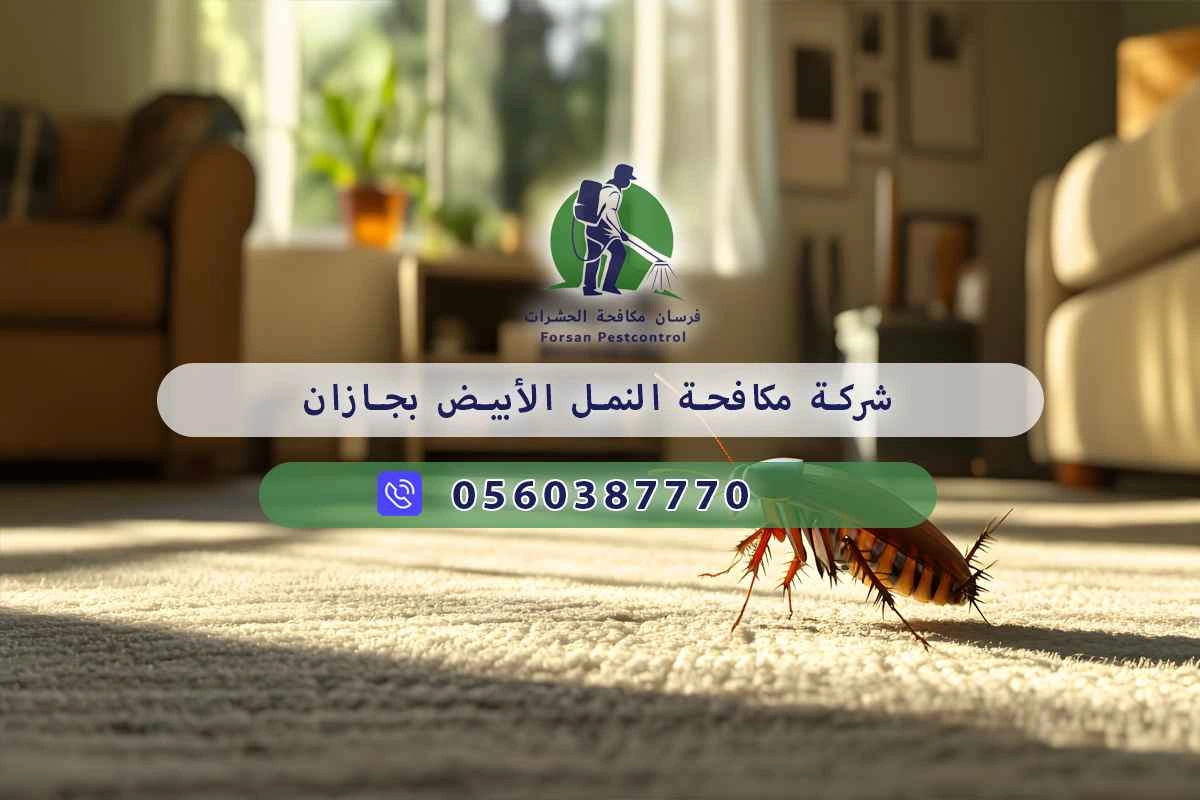 شركة مكافحة النمل الأبيض بجازان