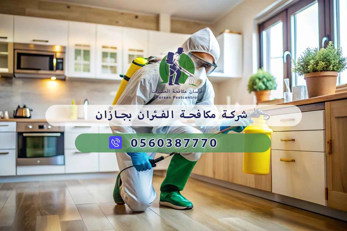 شركة مكافحة الفئران بجازان 0560387770 | فرسان مكافحة الحشرات 3 شركة مكافحة الفئران بجازان