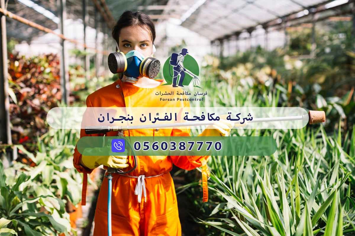 شركة مكافحة الفئران بنجران 0560387770 | فرسان مكافحة الحشرات 3 شركة مكافحة الفئران بنجران