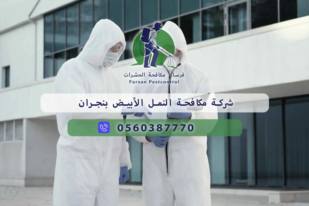 شركة مكافحة النمل الأبيض بنجران