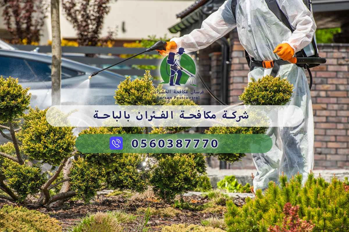 شركة مكافحة الفئران بالباحة | فرسان مكافحة الحشرات 3 شركة مكافحة الفئران بالباحة