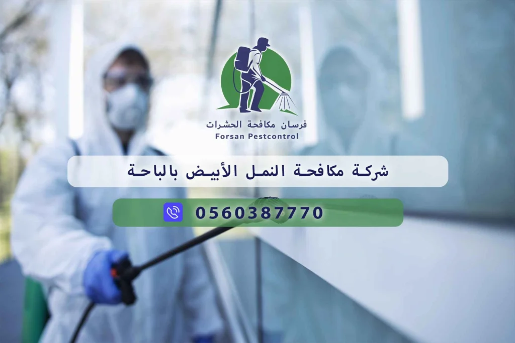 شركة مكافحة النمل الأبيض بالباحة