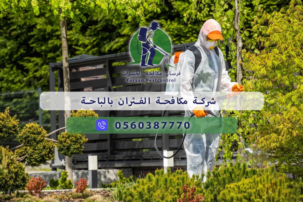 شركة مكافحة الفئران بالباحة