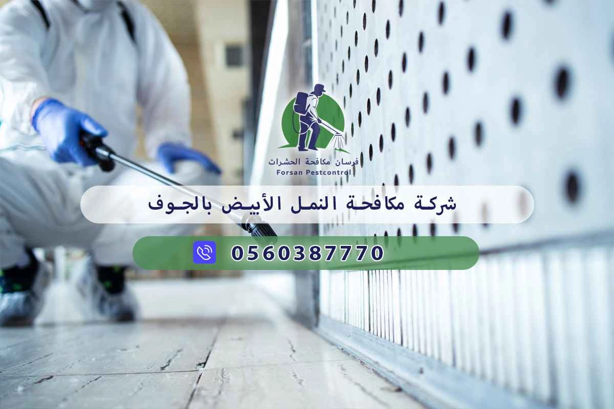 شركة مكافحة النمل الأبيض بالجوف