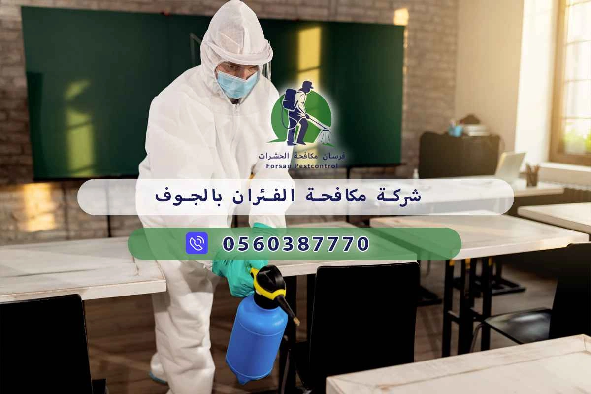 شركة مكافحة الفئران بالجوف 0560387770 | فرسان مكافحة الحشرات 3 شركة مكافحة الفئران بالجوف