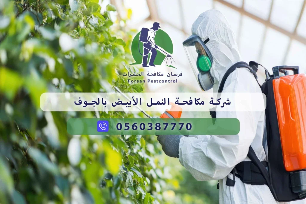 شركة مكافحة النمل الأبيض بالجوف