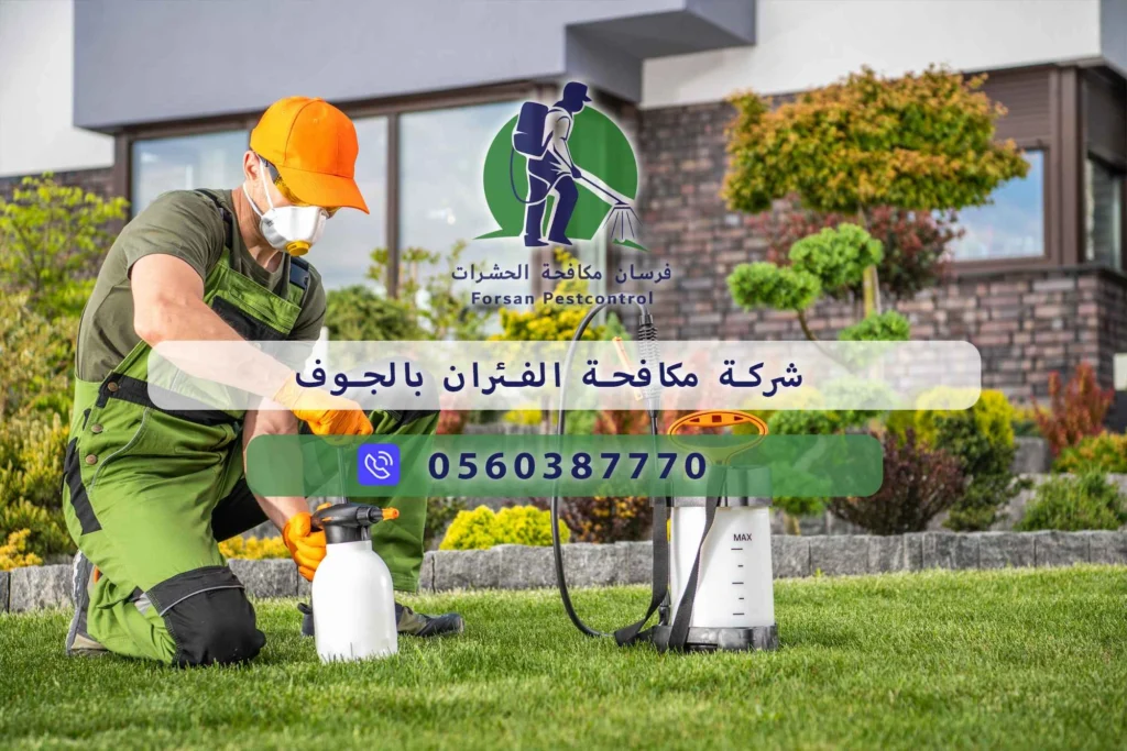 شركة مكافحة الفئران بالجوف
