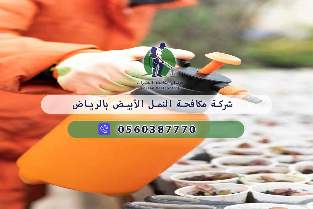 شركة مكافحة النمل الأبيض بالرياض 0560387770 – فرسان مكافحة الحشرات 3 شركة مكافحة النمل الأبيض بالرياض