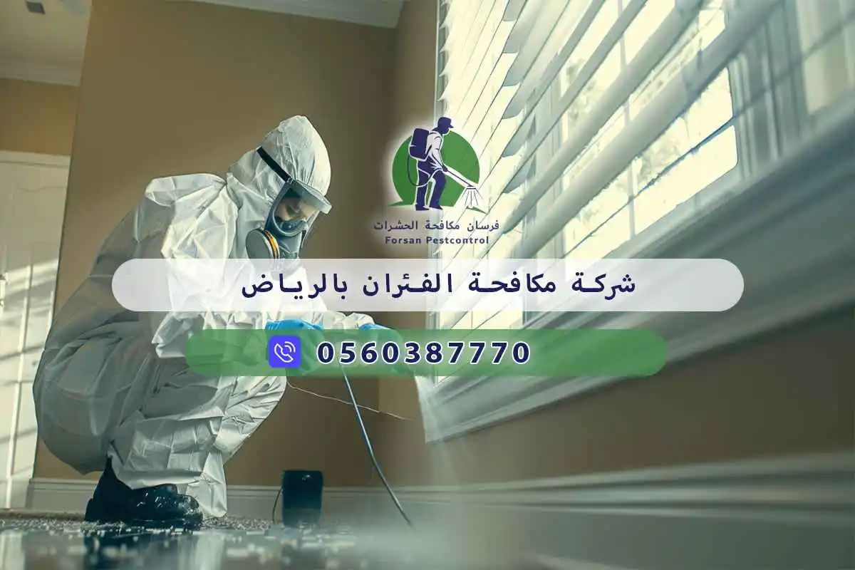 شركة مكافحة الفئران بالرياض 0560387770 | فرسان مكافحة الحشرات 3 شركة مكافحة الفئران بالرياض