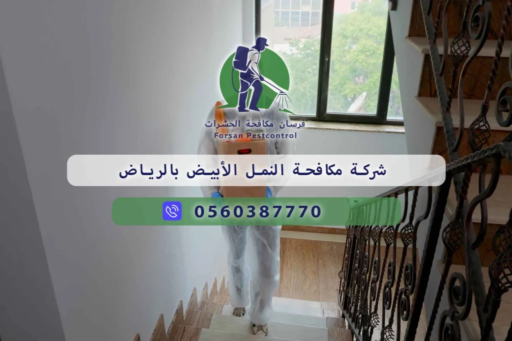 شركة مكافحة النمل الأبيض بالرياض