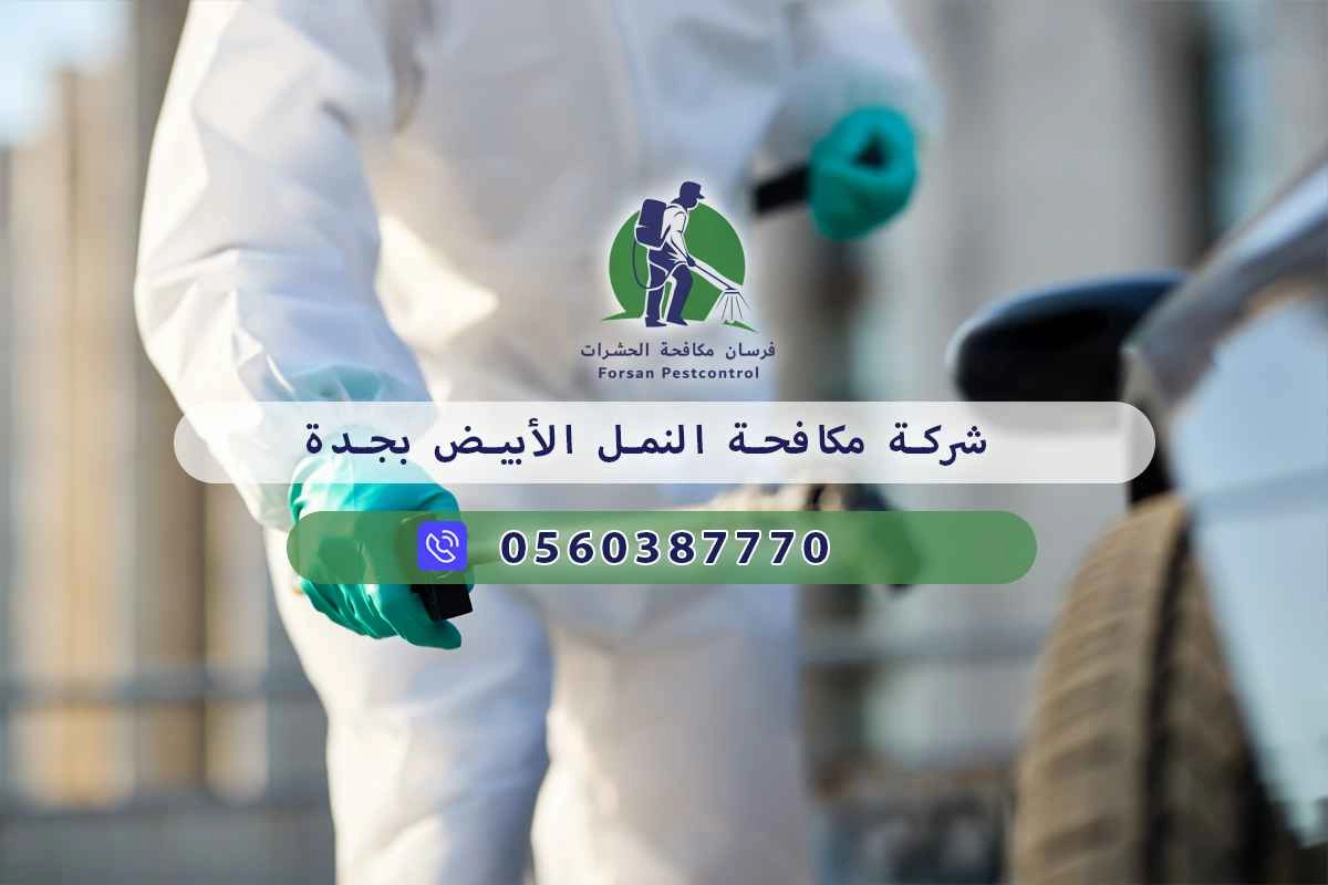 شركة مكافحة النمل الأبيض بجدة 0560387770 - فرسان مكافحة الحشرات 3 شركة مكافحة النمل الأبيض بجدة