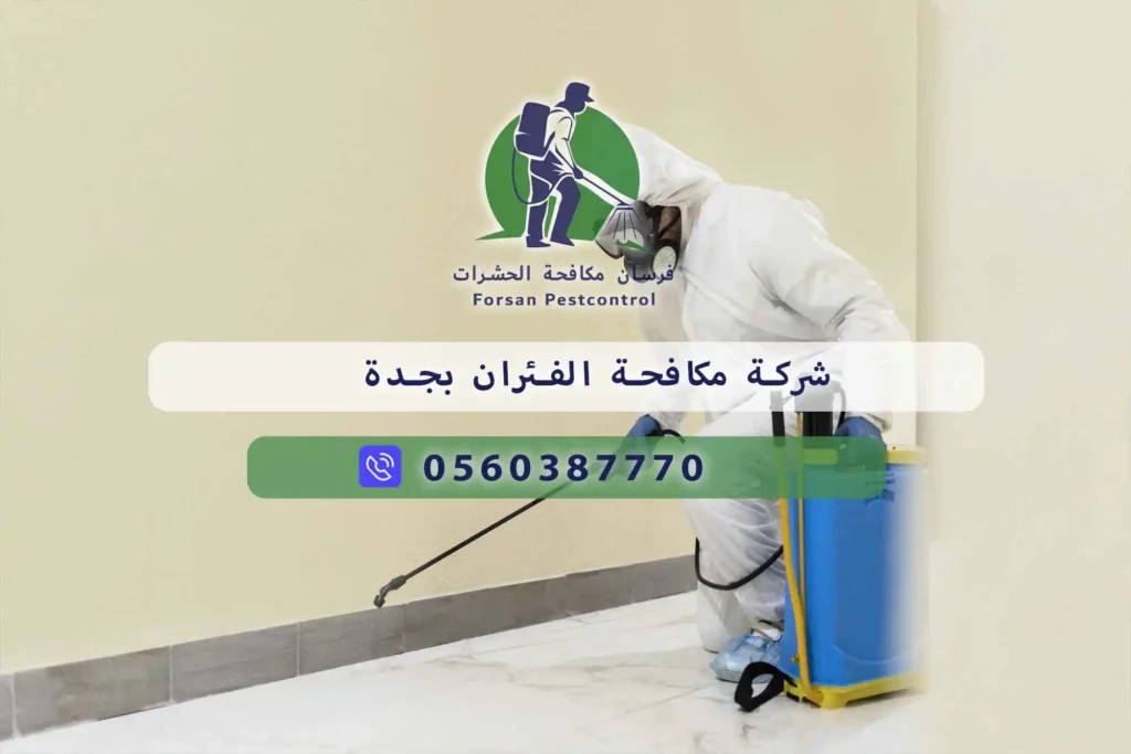 شركة مكافحة الفئران بجدة