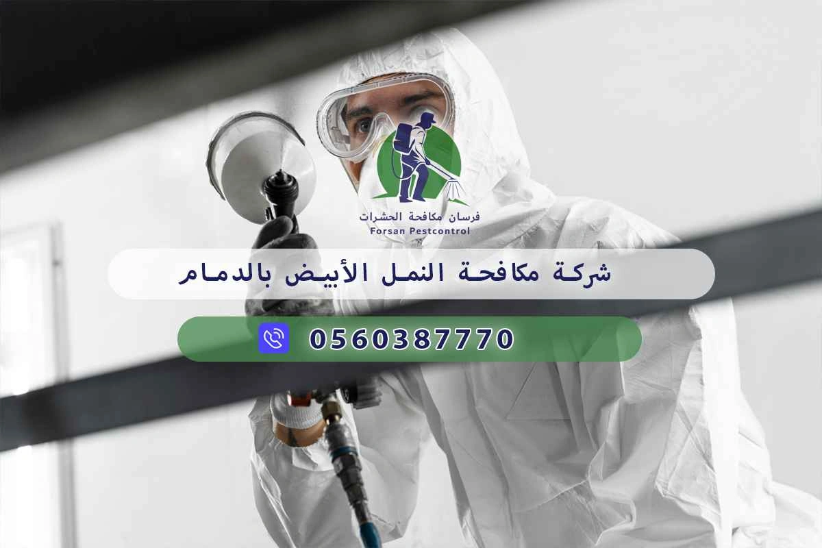 شركة مكافحة النمل الأبيض بالدمام 0560387770 – فرسان مكافحة الحشرات 3 شركة مكافحة النمل الأبيض بالدمام