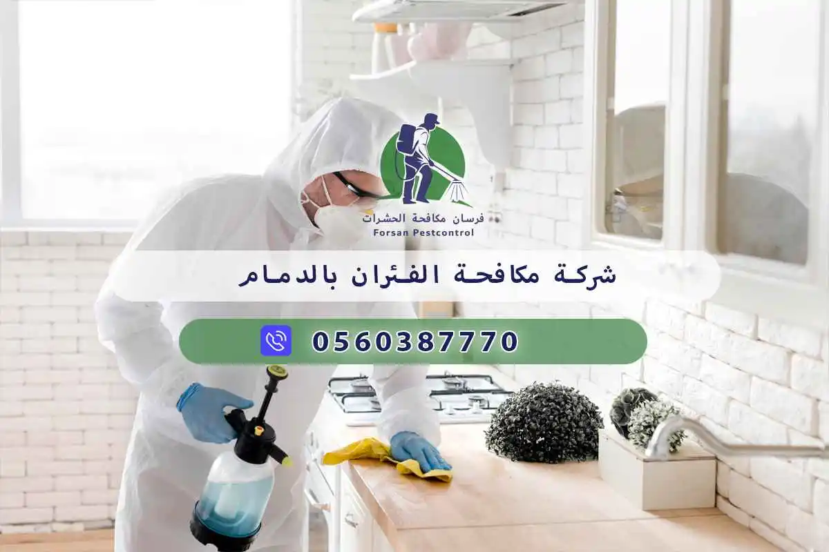 شركة مكافحة الفئران بالدمام 0560387770 | شركة فرسان مكافحة الحشرات 3 شركة مكافحة الفئران بالدمام