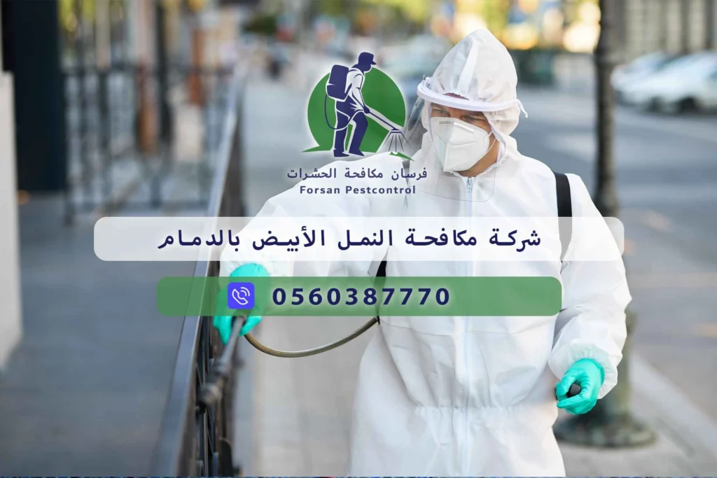 شركة مكافحة النمل الأبيض بالدمام