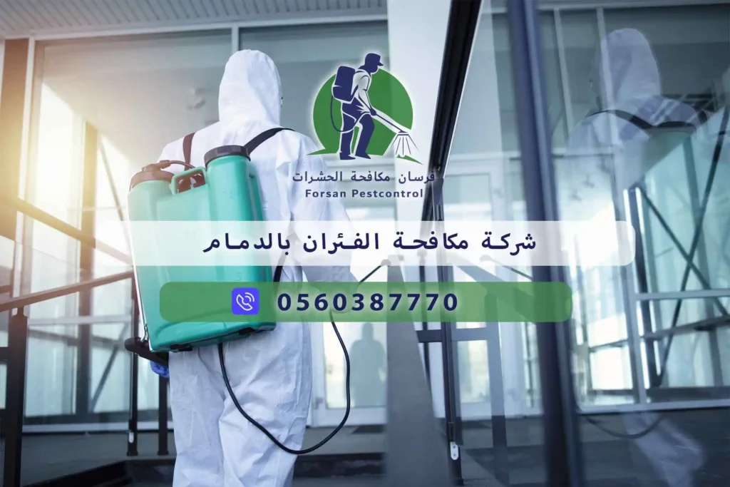 شركة مكافحة الفئران بالدمام