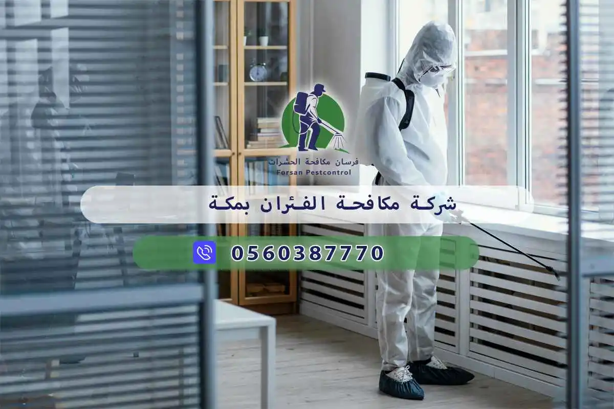 شركة مكافحة الفئران بمكة 0560387770 | فرسان مكافحة الحشرات 3 شركة مكافحة الفئران بمكة