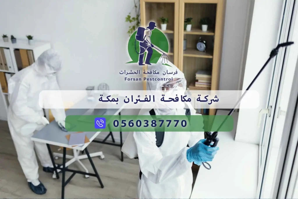 شركة مكافحة الفئران بمكة