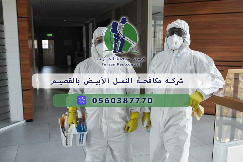 شركة مكافحة النمل الأبيض بالقصيم