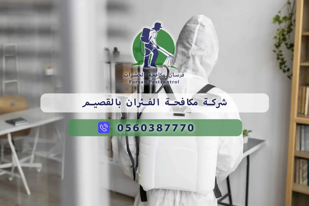شركة مكافحة الفئران بالقصيم