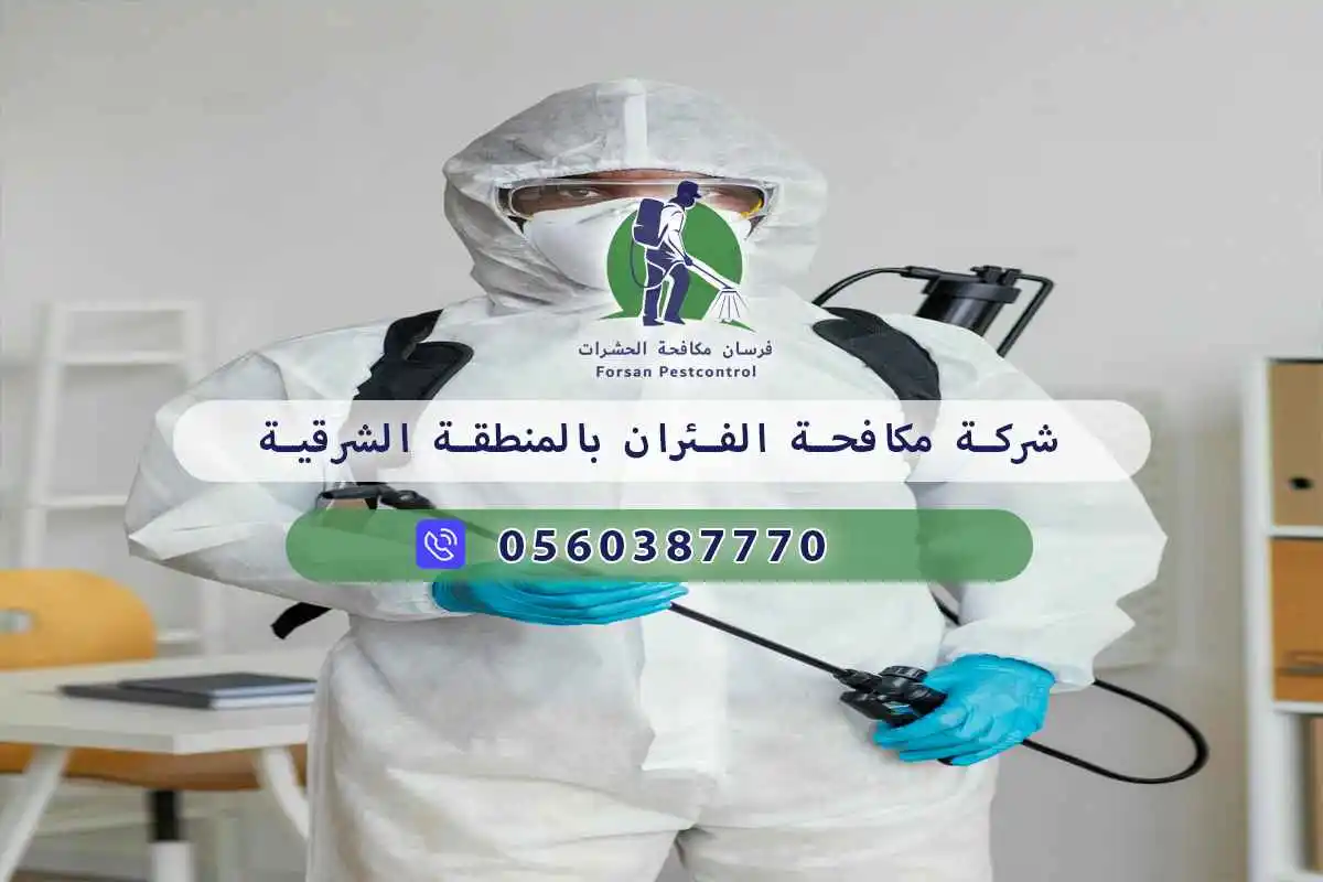 شركة مكافحة الفئران بالمنطقة الشرقية 0560387770 – فرسان لمكافحة الحشرات 3 شركة مكافحة الفئران بالمنطقة الشرقية