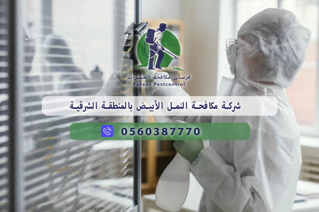 شركة مكافحة النمل الأبيض بالمنطقة الشرقية