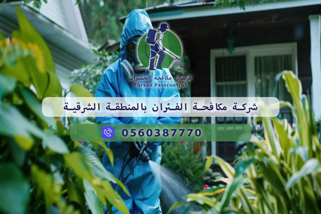 شركة مكافحة الفئران بالمنطقة الشرقية