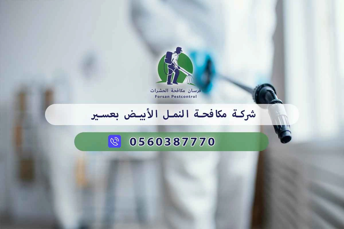 شركة مكافحة النمل الأبيض بعسير