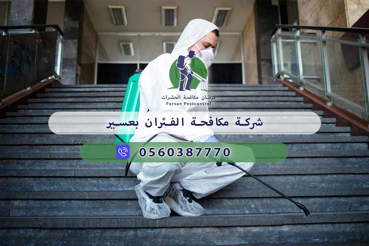 شركة مكافحة الفئران بعسير 0560387770 - فرسان لمكافحة الحشرات 3 شركة مكافحة الفئران بعسير