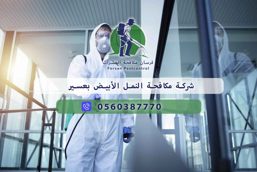 شركة مكافحة النمل الأبيض بعسير