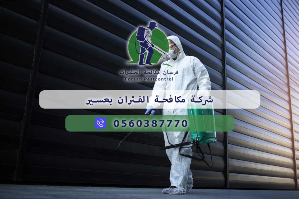 شركة مكافحة الفئران بعسير