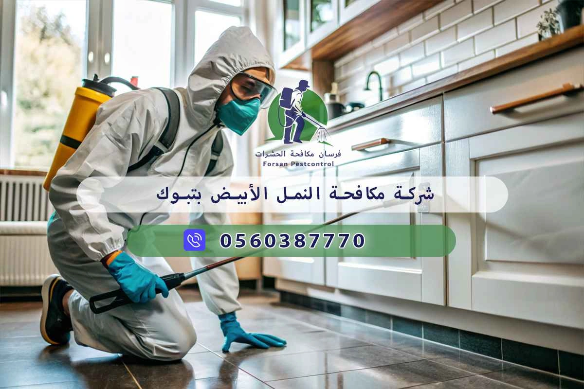 شركة مكافحة النمل الأبيض بتبوك