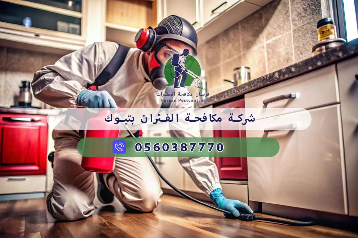 شركة مكافحة الفئران بتبوك 0560387770 | شركة فرسان لمكافحة الحشرات 3 شركة مكافحة الفئران بتبوك