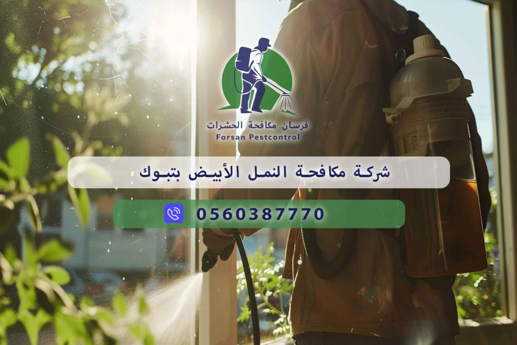 شركة مكافحة النمل الأبيض بتبوك