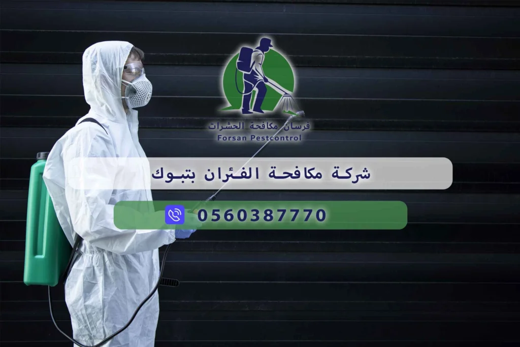 شركة مكافحة الفئران بتبوك