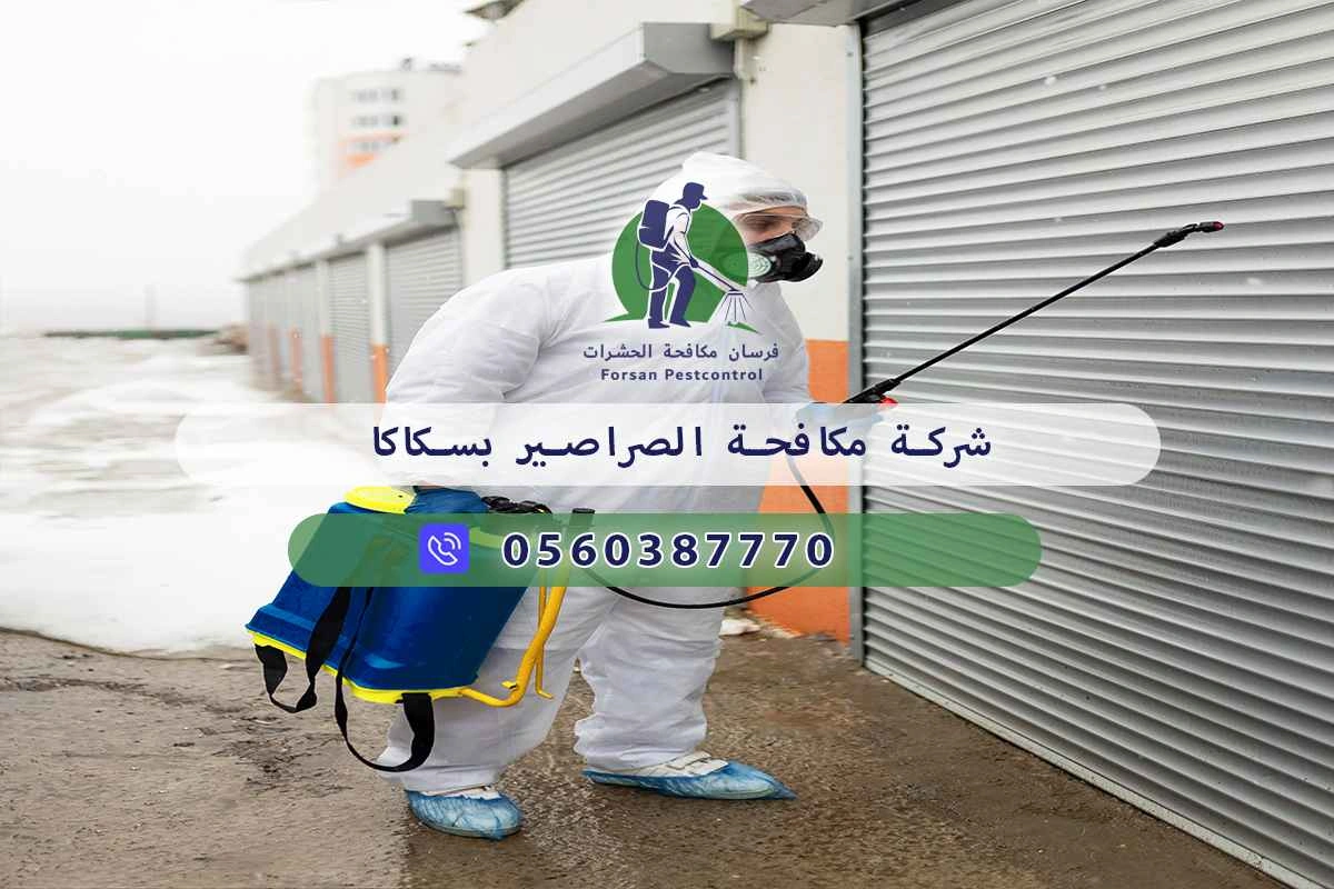 شركة مكافحة الصراصير بسكاكا 0560387770 - فرسان مكافحة الحشرات 3 شركة مكافحة الصراصير بسكاكا
