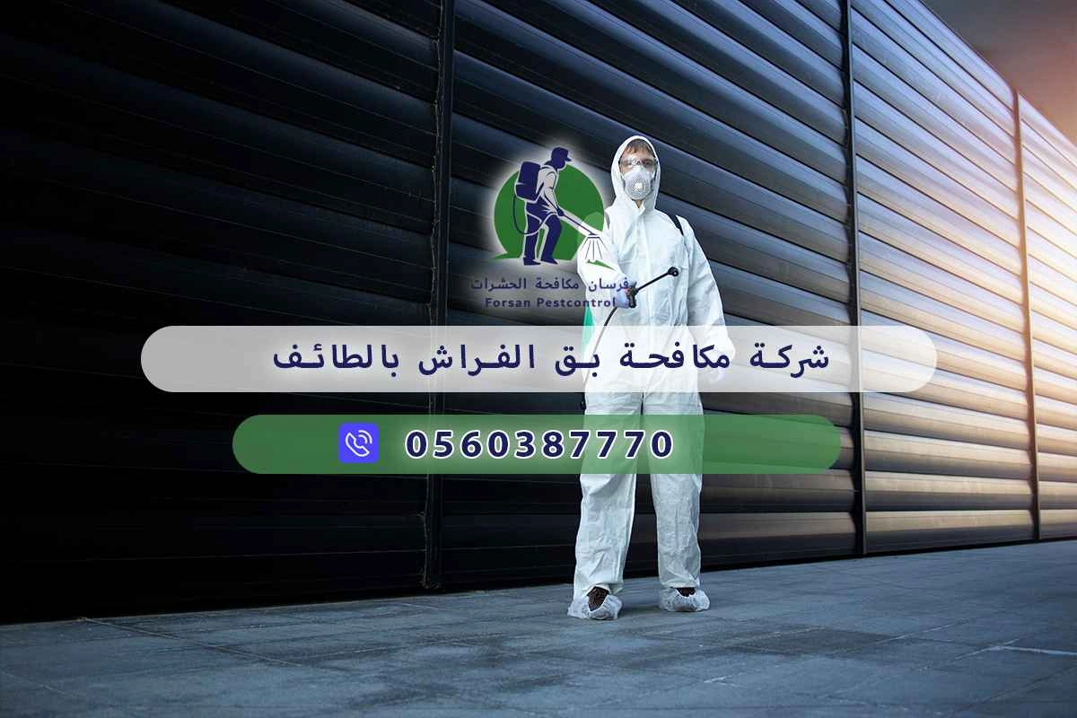 شركة مكافحة بق الفراش بالطائف 0560387770 – فرسان مكافحة الحشرات 3 شركة مكافحة بق الفراش بالطائف