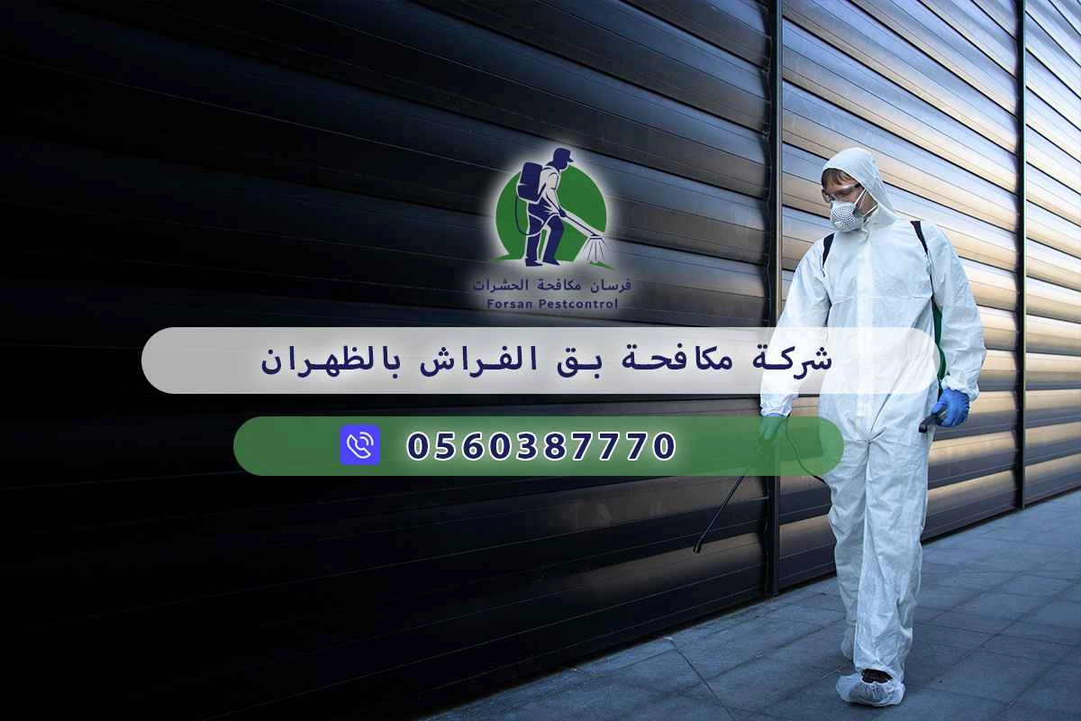 شركة مكافحة بق الفراش بالظهران 0560387770 – فرسان مكافحة الحشرات 3 شركة مكافحة بق الفراش بالظهران