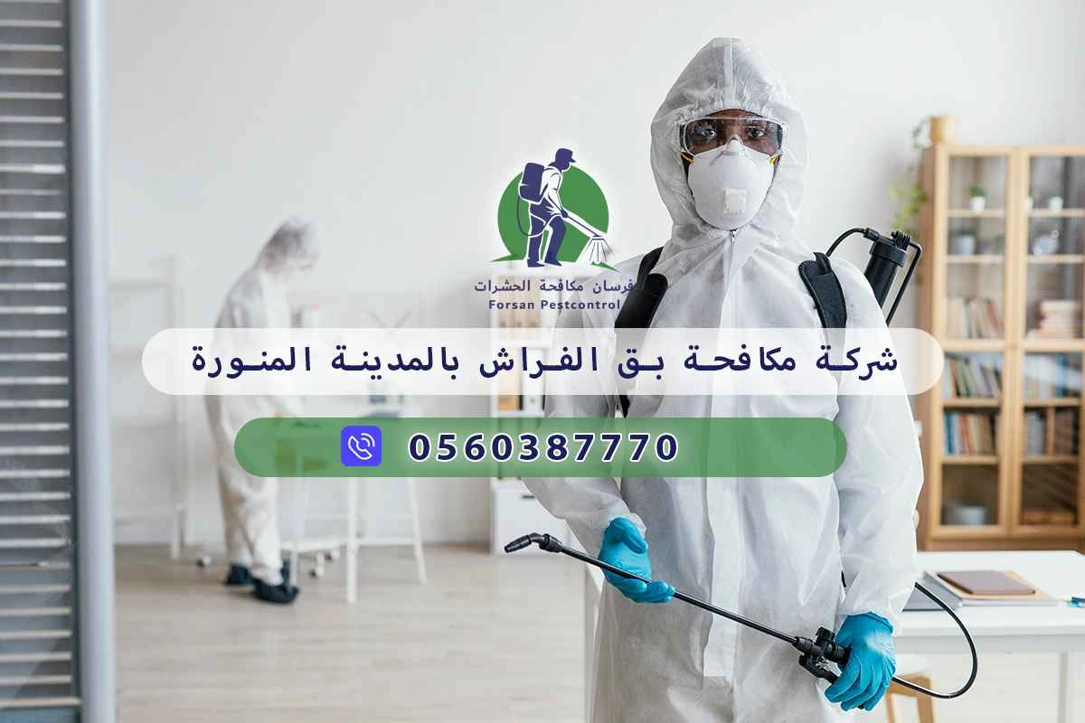 شركة مكافحة بق الفراش بالمدينة المنورة 0560387770 – فرسان مكافحة الحشرات 3 شركة مكافحة بق الفراش بالمدينة المنورة