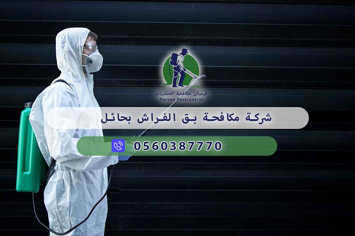 شركة مكافحة بق الفراش بحائل 0560387770 – فرسان مكافحة الحشرات 3 شركة مكافحة بق الفراش بحائل