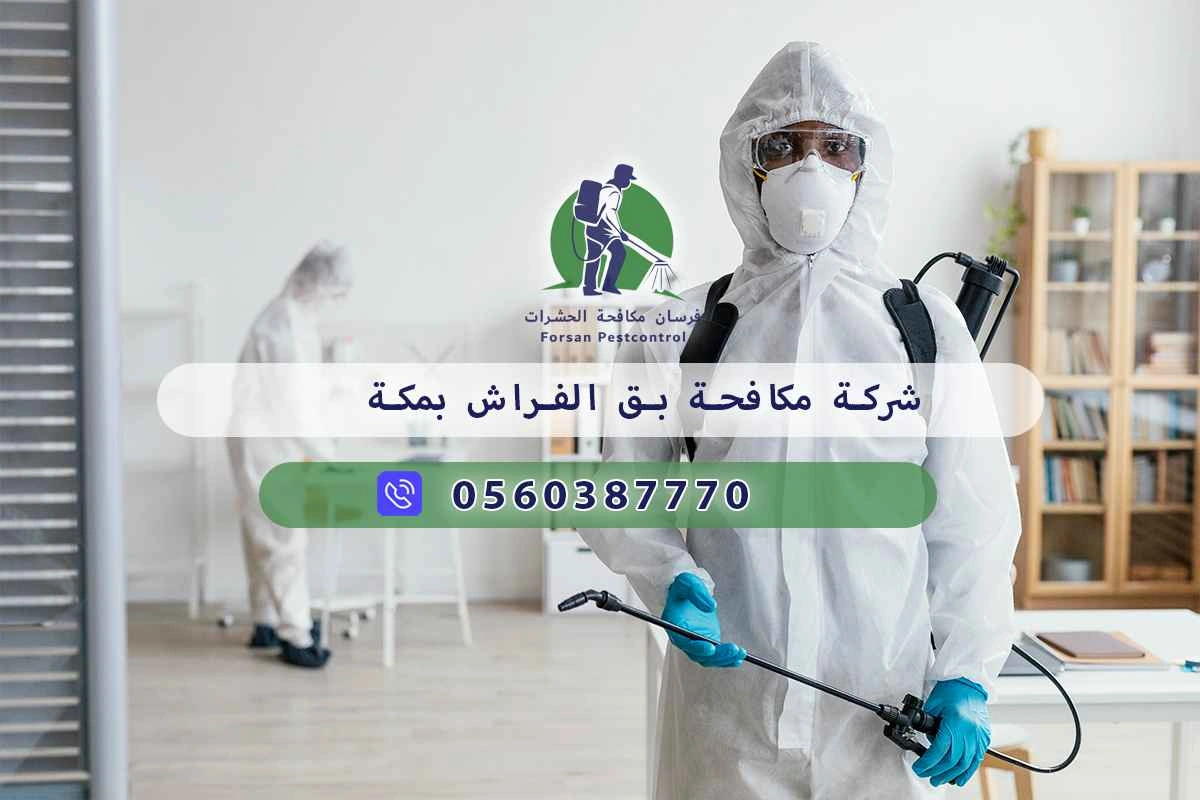 شركة مكافحة بق الفراش بمكة 0560387770 – فرسان مكافحة الحشرات 3 شركة مكافحة بق الفراش بمكة
