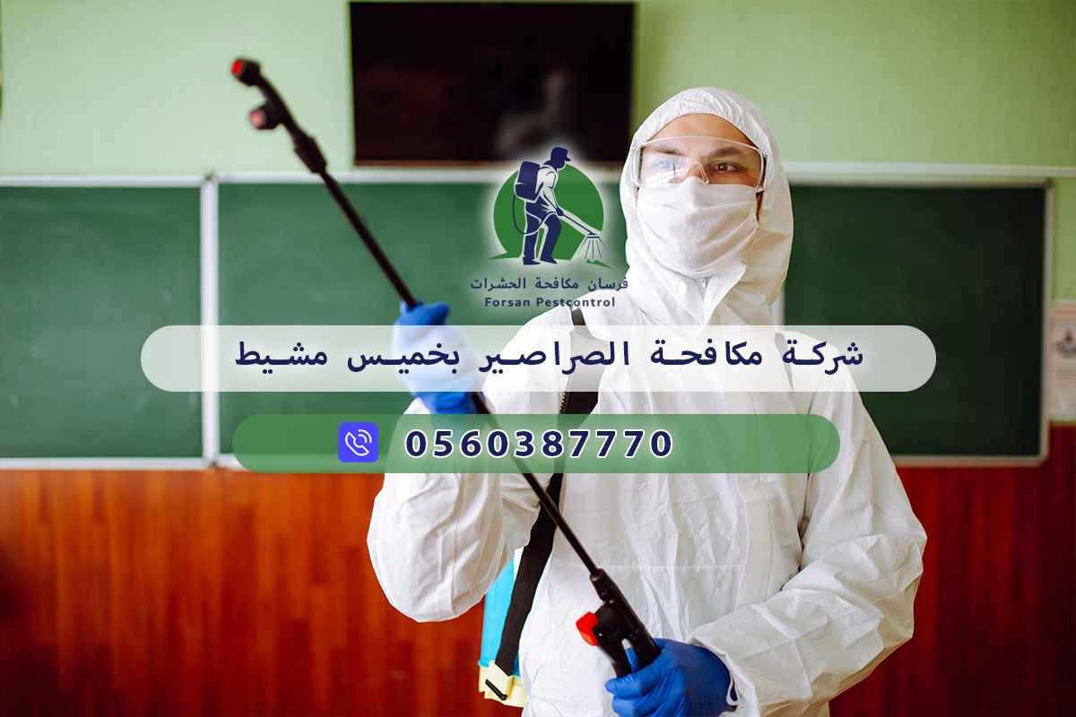 شركة مكافحة الصراصير بخميس مشيط 0560387770 - فرسان مكافحة الحشرات 3 شركة مكافحة الصراصير بخميس مشيط