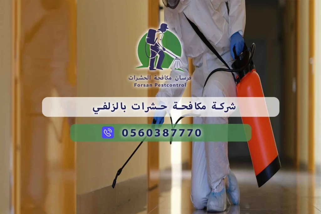 شركة مكافحة حشرات بالزلفي