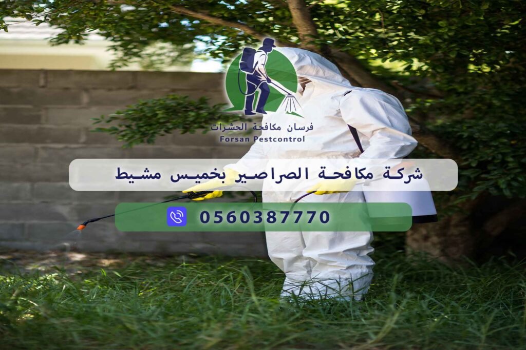 شركة مكافحة الصراصير بخميس مشيط