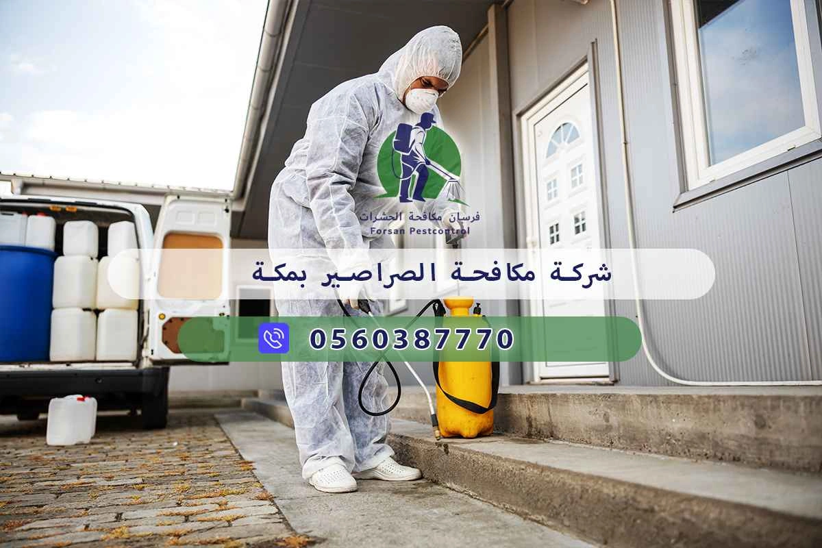 شركة مكافحة الصراصير بمكة 0560387770 - فرسان مكافحة الحشرات 3 شركة مكافحة الصراصير بمكة