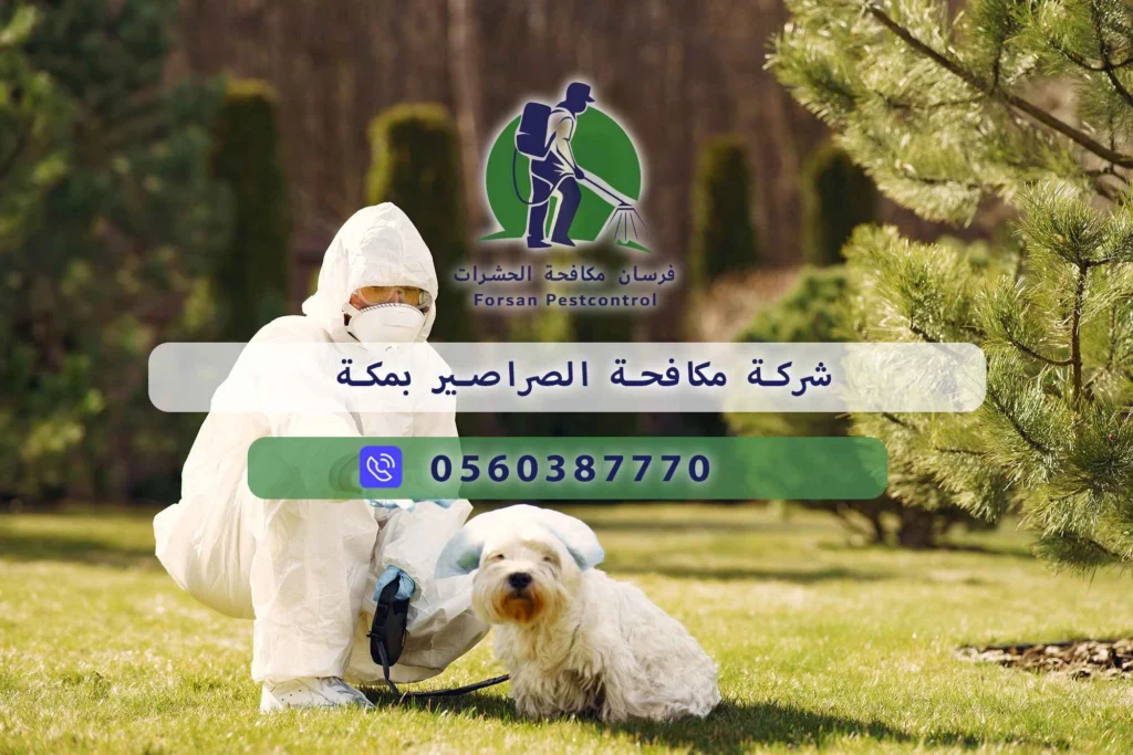 شركة مكافحة الصراصير بمكة