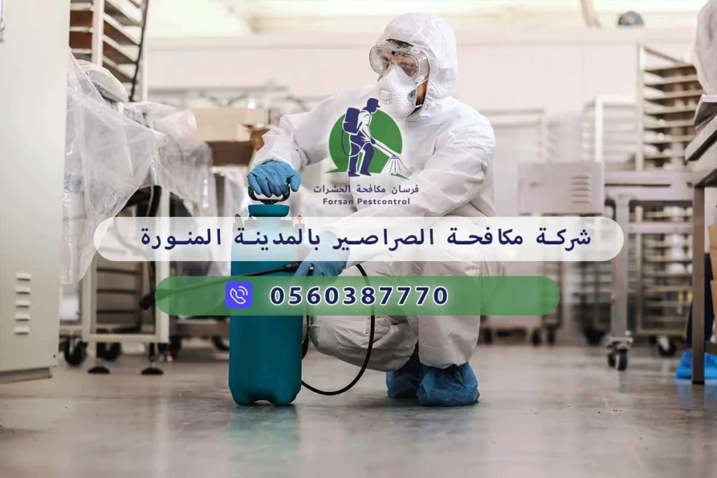 شركة مكافحة الصراصير بالمدينة المنورة