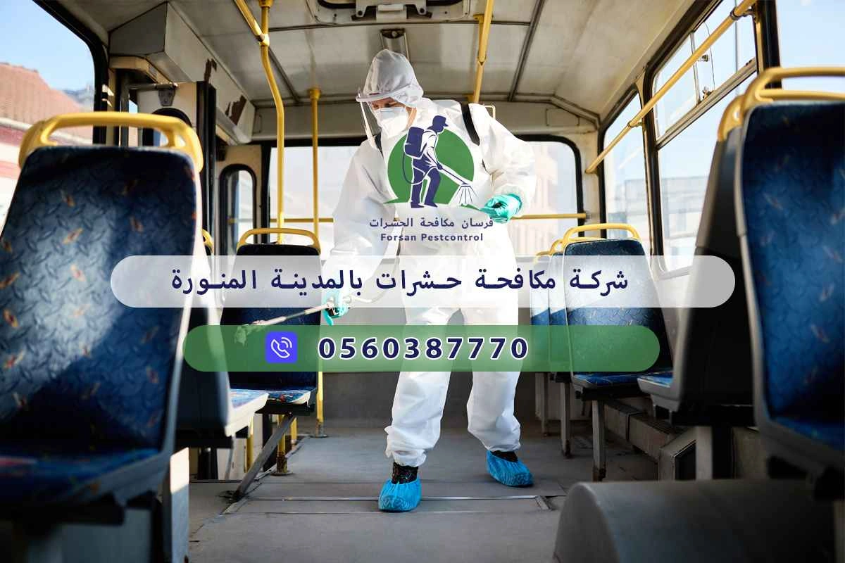 شركة مكافحة حشرات بالمدينة المنورة