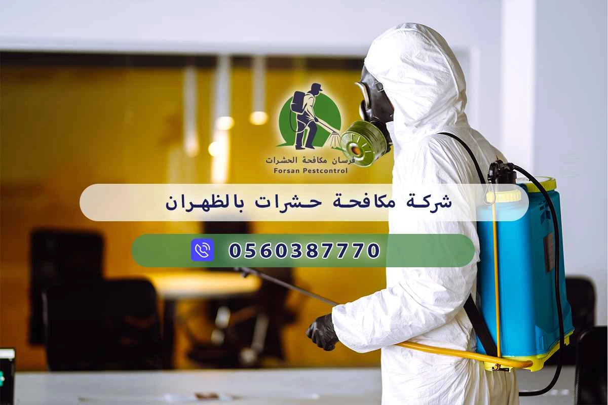 شركة مكافحة حشرات بالظهران 0560387770 - فرسان مكافحة الحشرات 3 شركة مكافحة حشرات بالظهران